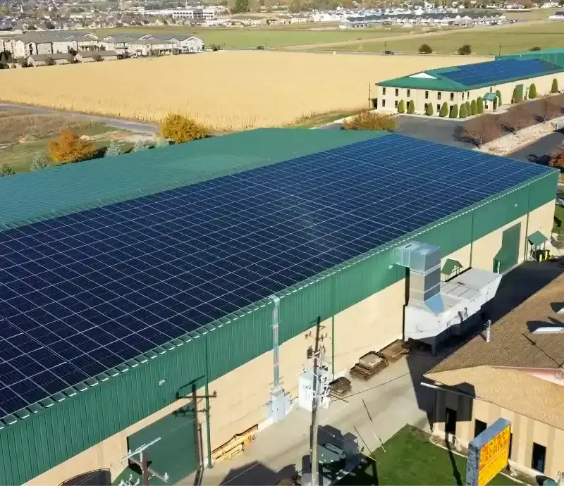 Recent installation 2